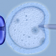 Illustration for article titled Should The Government Pay For Your Fertility Treatments?